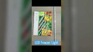 X1A LED Freezer Light